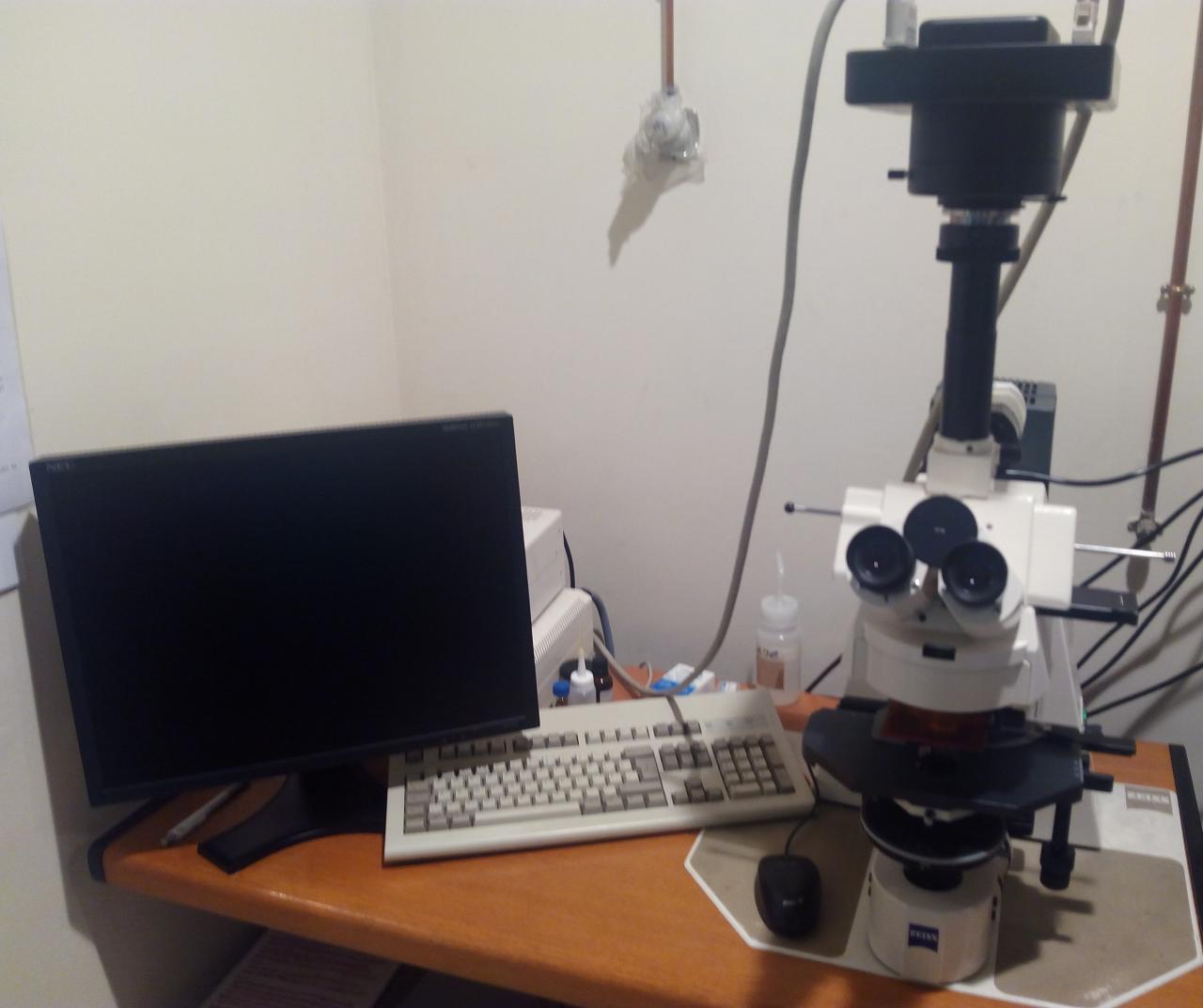 FLUORESCENCE AND WIDE FIELD OPTICAL MICROSCOPE WITH DIGITAL CAMERAS (AXIOPLAN-2, Zeiss)