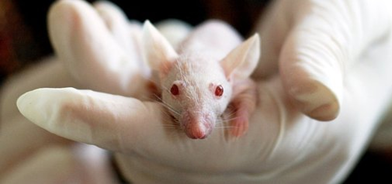 La UCM se suma al acuerdo de transparencia en investigación animal de la COSCE