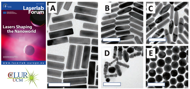 TEM micrographs before (A) and after irradiation with fluences of (B) 3.2 J/m2, (C) 6.4 J/m2, (D) 33.28 J/m2 and (E) 92 J/m2. Scale bars: 100 nm.